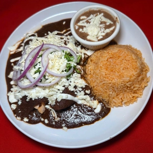 Enchiladas Lunch