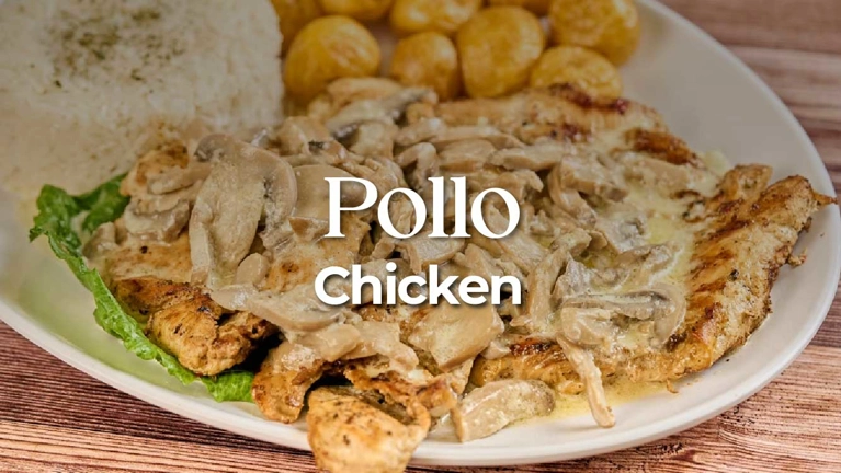 Pollo