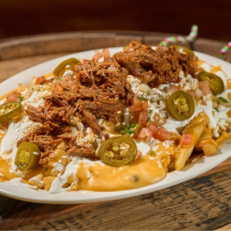 Birria Fries