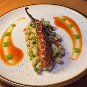 Grilled Octopus