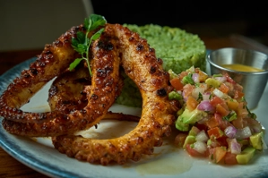 Northern Octopus