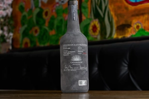 CASAMIGOS JOVEN