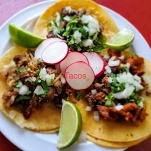 Arrachera Chimichanga