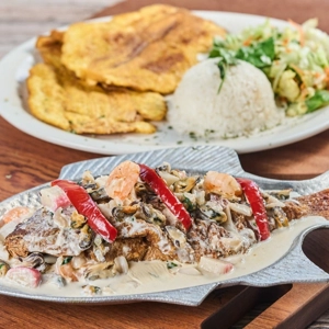 Mojarra Reina