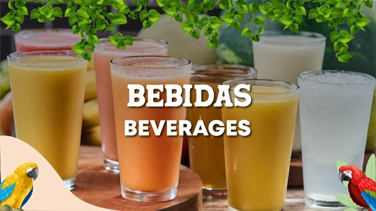 Bebidas