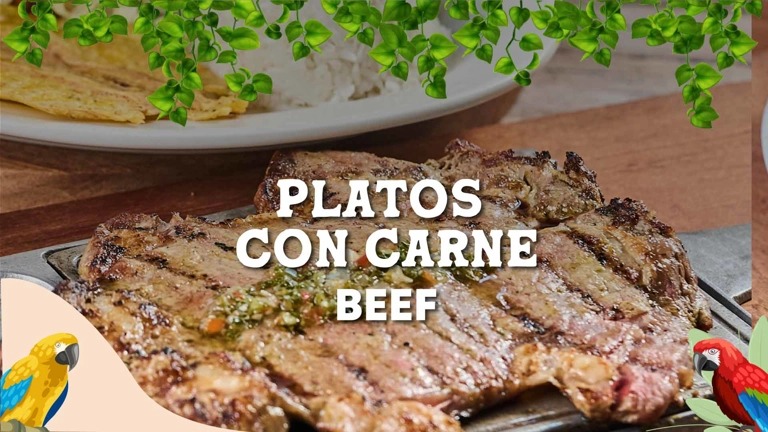 Platos Con Carne
