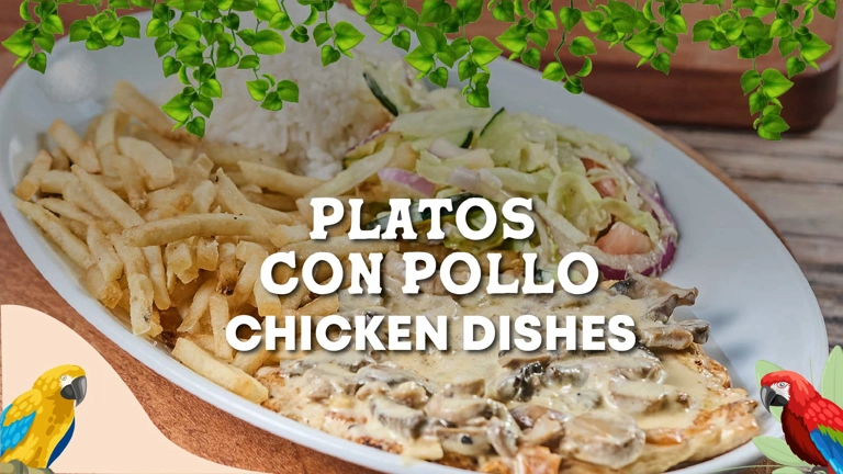 Platos Con Pollo