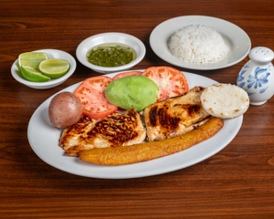 Grilled Chicken Breast (10oz)