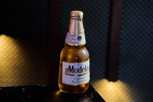 MODELO