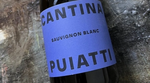 Sauvignon Blanc 
