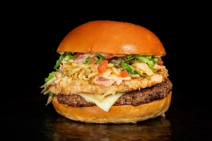 Super Skirt Steak & Chicken Burger