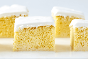 Tres Leches cake with visible sponge layers and white frosting. Unknown cuisine type in an unknown city.